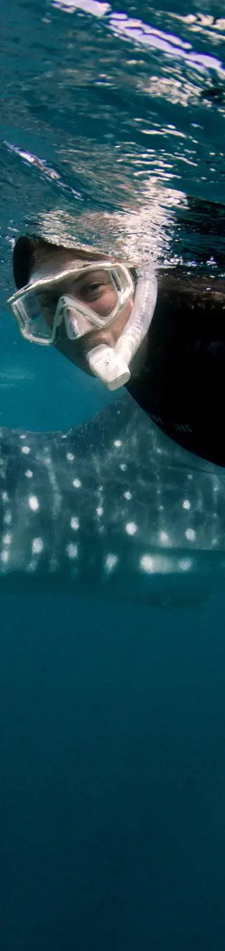 Auf Isla Holbox relaxen und mit Walhaien schnorcheln